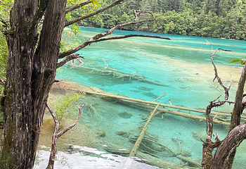九寨沟风景区第 594 张图片