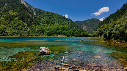 九寨沟风景区第 123 张图片
