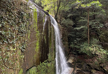 大鄣山卧龙谷第 32 张图片