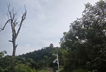 梅岭国家级风景名胜区第 43 张图片
