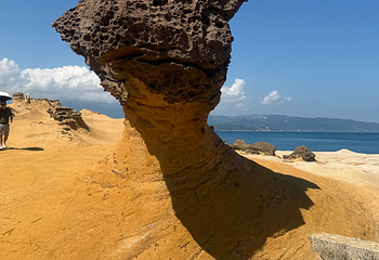 野柳地质公园第 82 张图片