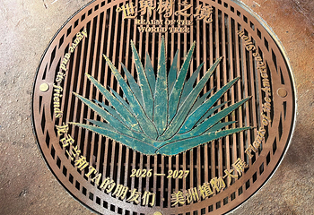 上海温室花园第 114 张图片