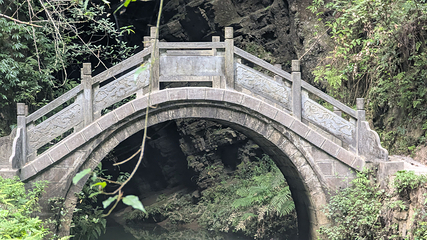 张家界大峡谷第 82 张图片