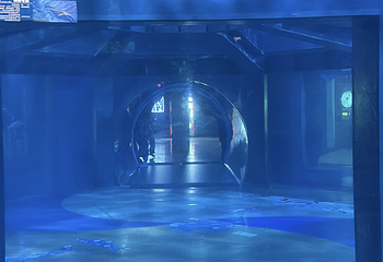 老虎滩海洋公园第 131 张图片