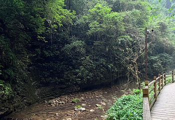 张家界大峡谷第 134 张图片