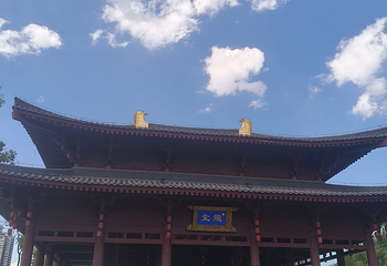 兴庆宫公园第 135 张图片