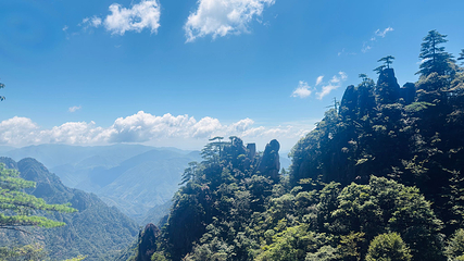 黄山风景区第 84 张图片
