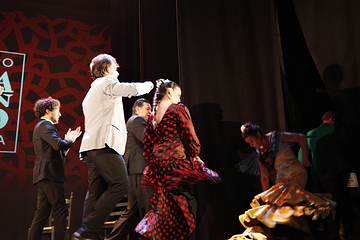 塞维利亚Teatro Flamenco Sevilla弗拉明戈剧院第 29 张图片