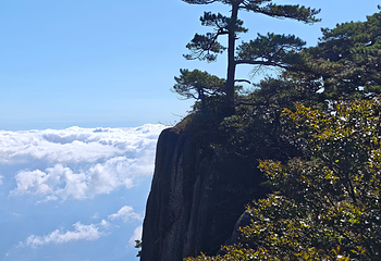 黄山风景区第 352 张图片