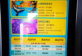 烟台海昌鲸鲨海洋公园第 42 张图片