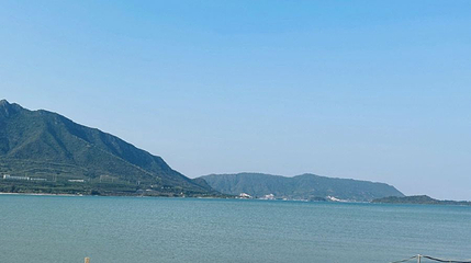 坝光野海滩第 1 张图片