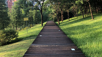 天河大观湿地公园-木栈道