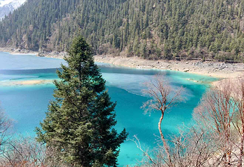 九寨沟风景区第 370 张图片