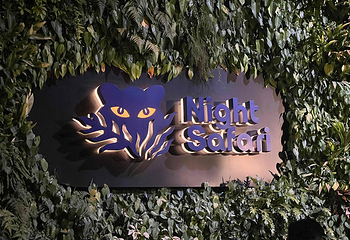 夜间野生动物园第 53 张图片