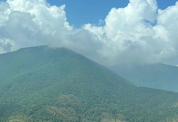 天目山自然保护区第 78 张图片