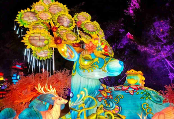 民族之夜第 23 张图片