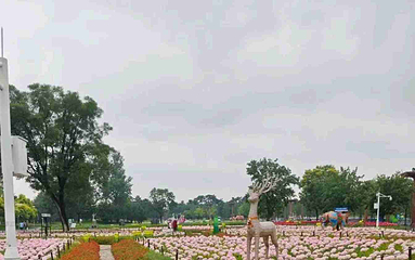 北京世园国际旅游度假区第 102 张图片