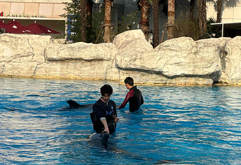 上海海昌海洋公园第 311 张图片