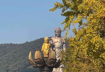 灵山大佛第 235 张图片