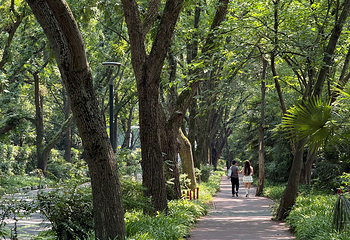 钟山风景名胜区第 130 张图片