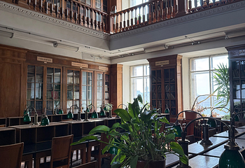 莫斯科国立大学第 40 张图片