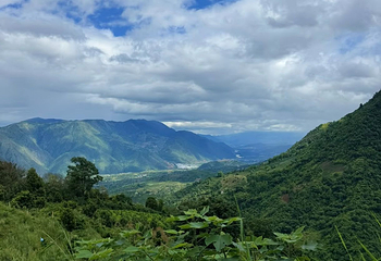 高黎贡山第 28 张图片