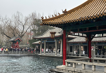 趵突泉景区第 123 张图片