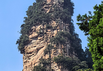 张家界国家森林公园第 304 张图片