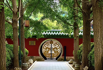 日坛公园第 42 张图片