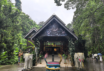 莫里热带雨林景区第 7 张图片