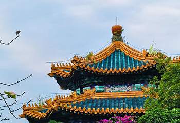 重庆园博园第 47 张图片