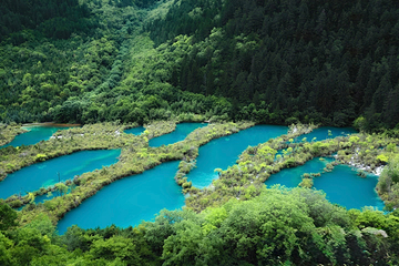 九寨沟风景区第 264 张图片