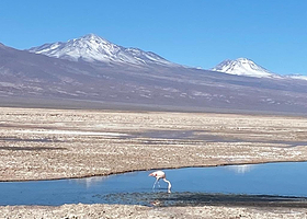 Salar de Atacama