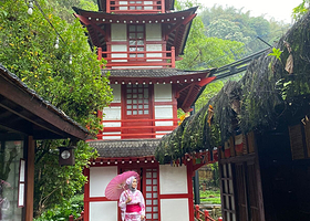 The Great Asia Africa