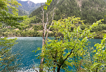 九寨沟风景区第 394 张图片