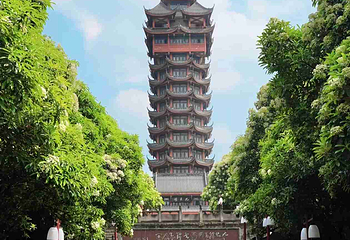 塔子山公园第 18 张图片