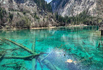 九寨沟风景区第 366 张图片