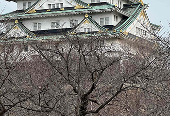 大阪城公园第 168 张图片