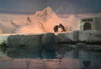 上海海洋水族馆第 213 张图片