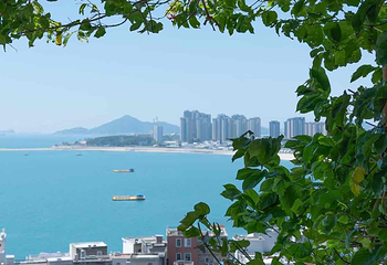 东山岛第 185 张图片
