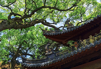 普济禅寺第 16 张图片