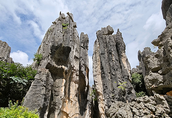 石林风景区第 182 张图片