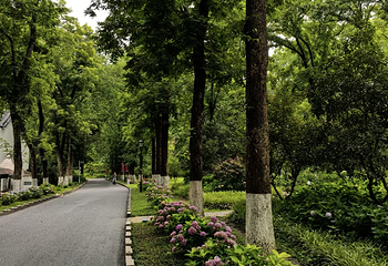 钟山风景名胜区第 174 张图片
