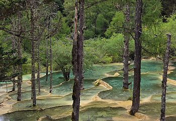 黄龙风景名胜区第 268 张图片