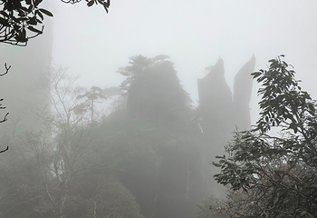 三清山风景区第 276 张图片