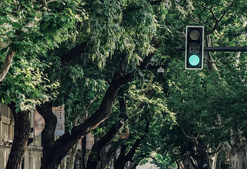 武康路第 65 张图片