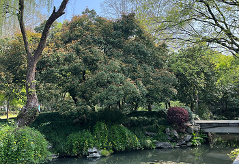 西湖风景名胜区第 323 张图片