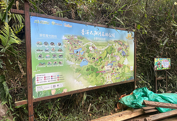 太阳河森林公园第 115 张图片
