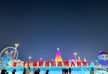 哈尔滨冰雪大世界第 394 张图片