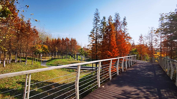 江滨公园-江滨绿廊